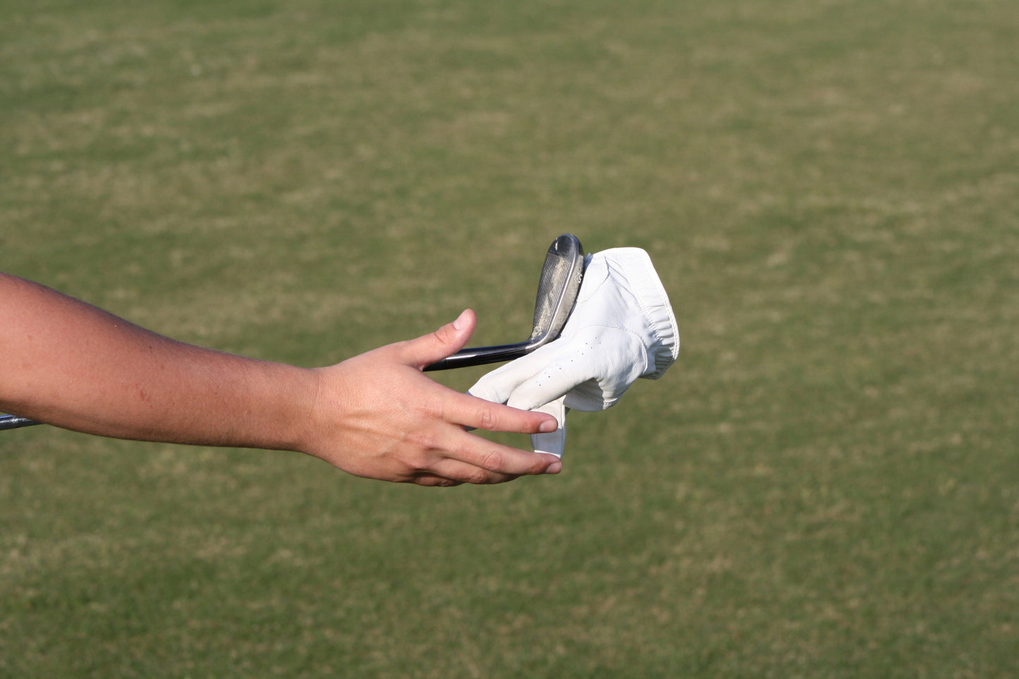 Fully-Magnetic Golf Glove